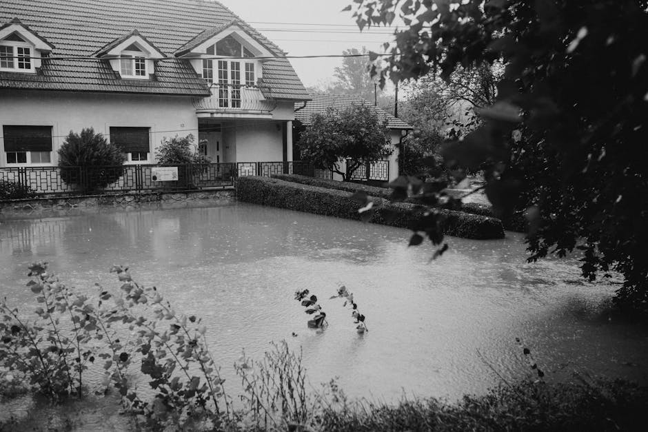 Protect Your Property: Essential Water Leak Prevention Tips